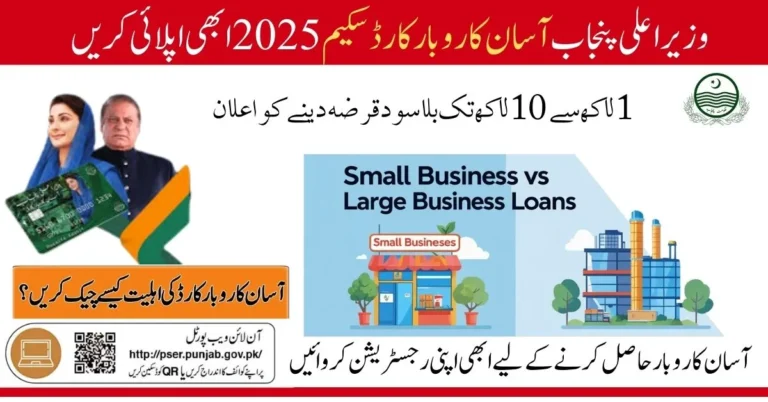 CM Punjab Asaan Karobar Card Loan Scheme empowering small businesses with financial support in 2025.