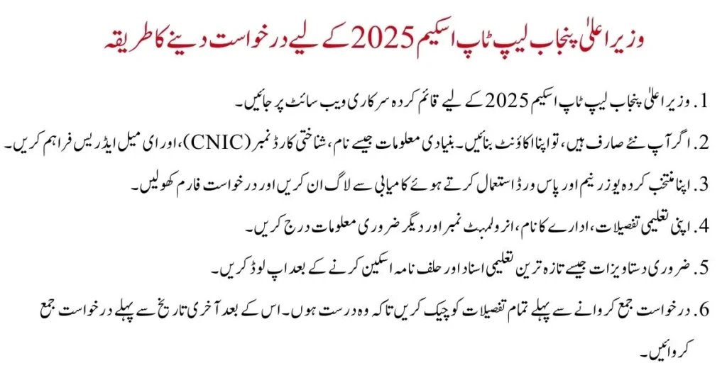 A student applying for the CM Punjab Laptop Scheme 2025 online.