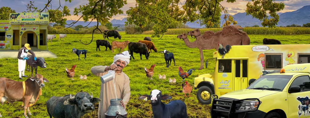 Punjab livestock card 2025, livestock farmer loan Punjab, CM Punjab interest free loan, dairy farming loan Punjab, goat farming scheme Punjab, buffalo purchase loan, veterinary card Punjab, rural farmer credit card, livestock subsidy Punjab, women livestock loan Pakistan, Punjab farmer relief scheme, animal husbandry loan scheme, Punjab agriculture loan 2025, livestock card benefits, smart farming Punjab,