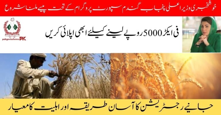 CM Wheat Subsidy Scheme 2025 for farmers
