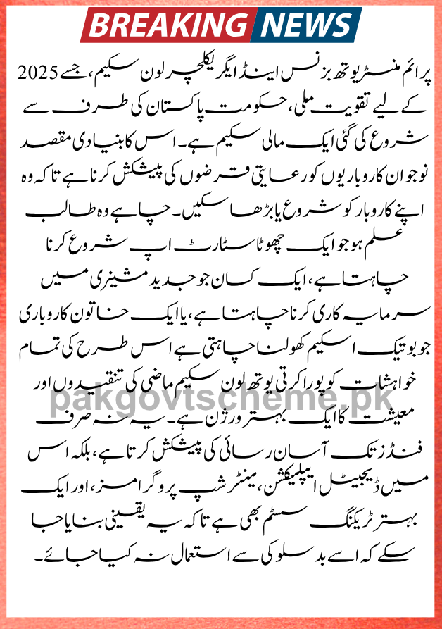 Prime Minister Youth Loan Scheme 2025 Eligibility and Application Process 2 youth loan, youth loan Pakistan, loan for youth, easy youth loan, youth business loan, student loan youth, youth loan scheme, youth loan application, youth loan benefits, youth loan program,
Youth Loan