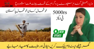 Wheat Support Payment 2025