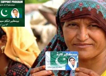 BISP payment status check, 8171 SMS service 2025, BISP July installment, Benazir Income Support 2025, BISP CNIC verification, 8171 web status update, BISP portal biometric error, 8171 online result, BISP cash distribution, BISP payment tracking portal,