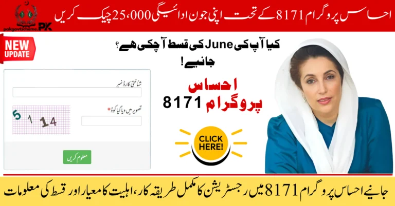 8171 check online 2025, BISP 25000 payment, 8171 web portal, Ehsaas program 25000, CNIC check 8171, 8171 SMS service, 8171 June payment, BISP status check, 8171 online registration, 8171 payment update,