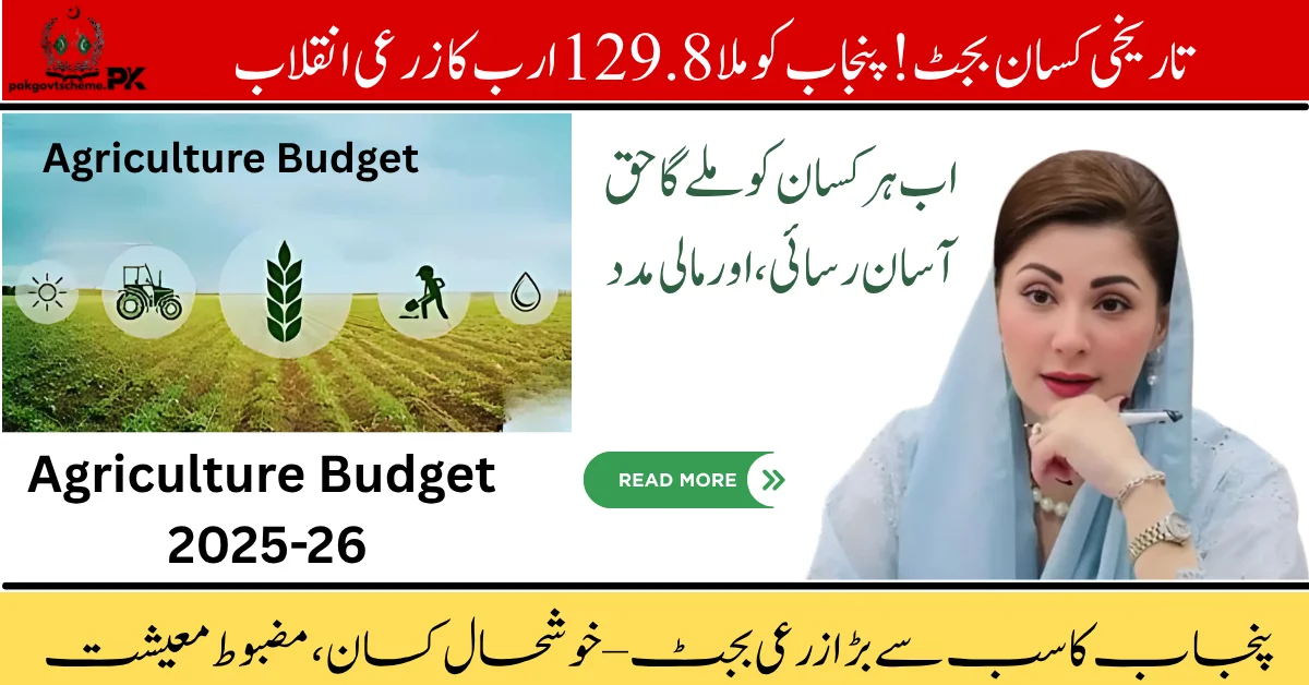 Agriculture Budget 2025, Punjab farmers support, CM Maryam Nawaz budget, agriculture subsidy Punjab, smart farming Punjab, Punjab agri-tech 2025, Punjab farmer relief package, Punjab crop support budget, rural economy Punjab, agriculture reforms 2025,