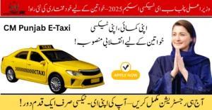 CM E-Taxi Scheme 2025, Punjab E-Taxi Scheme, Maryam Nawaz Taxi Scheme, women empowerment Pakistan, green taxi initiative, electric rickshaw scheme, job scheme for women, Punjab transport scheme, eco-friendly vehicles Pakistan, electric bike scheme,