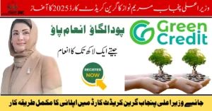 Green Credit Scheme 2025, CM Punjab green program, earn for eco acts, eco-friendly rewards Punjab, Maryam Nawaz green scheme, Punjab environment scheme, cash rewards for green actions, sustainable Punjab 2025, green incentive program, apply green credit scheme,