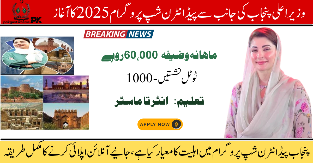 Tourism Internship 2025, CM Punjab internship, youth internship program, paid tourism internship, Punjab tourism jobs, apply internship 2025, Pakistan tourism scheme, student tourism opportunity, tourism career program, Punjab youth empowerment,