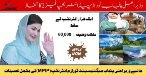 Tourism Internship 2025 Phase 2, CM Punjab internship program, youth tourism opportunity, Punjab tourism initiative, paid internship 2025, Maryam Nawaz tourism program, cultural tourism internship, tourism jobs for youth, apply tourism internship Punjab, internship in tourism sector,