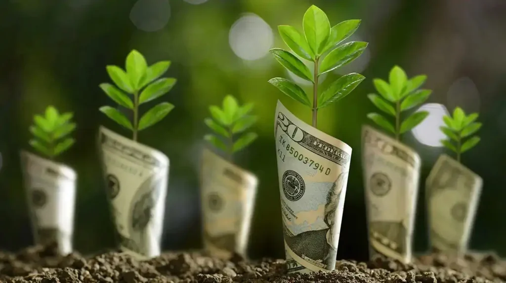 CM Punjab Green Credit Scheme 2025, green rewards program Punjab, eco actions for cash 2025, earn from tree plantation, sustainable Punjab project, Maryam Nawaz green rewards, climate action scheme Punjab, apply green scheme online, eco-friendly income program, green points initiative 2025,