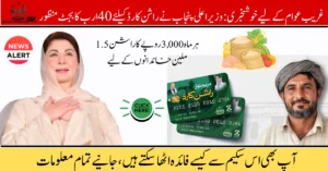 Rashan Card Scheme 2025, Punjab Rashan Card, Maryam Nawaz Rashan Program, CM Punjab Relief Package, Monthly Grocery Aid, PSER Registration Punjab, Khidmat Markaz Punjab, Budget 2025 Subsidy, Low Income Family Support, Punjab Welfare Scheme,