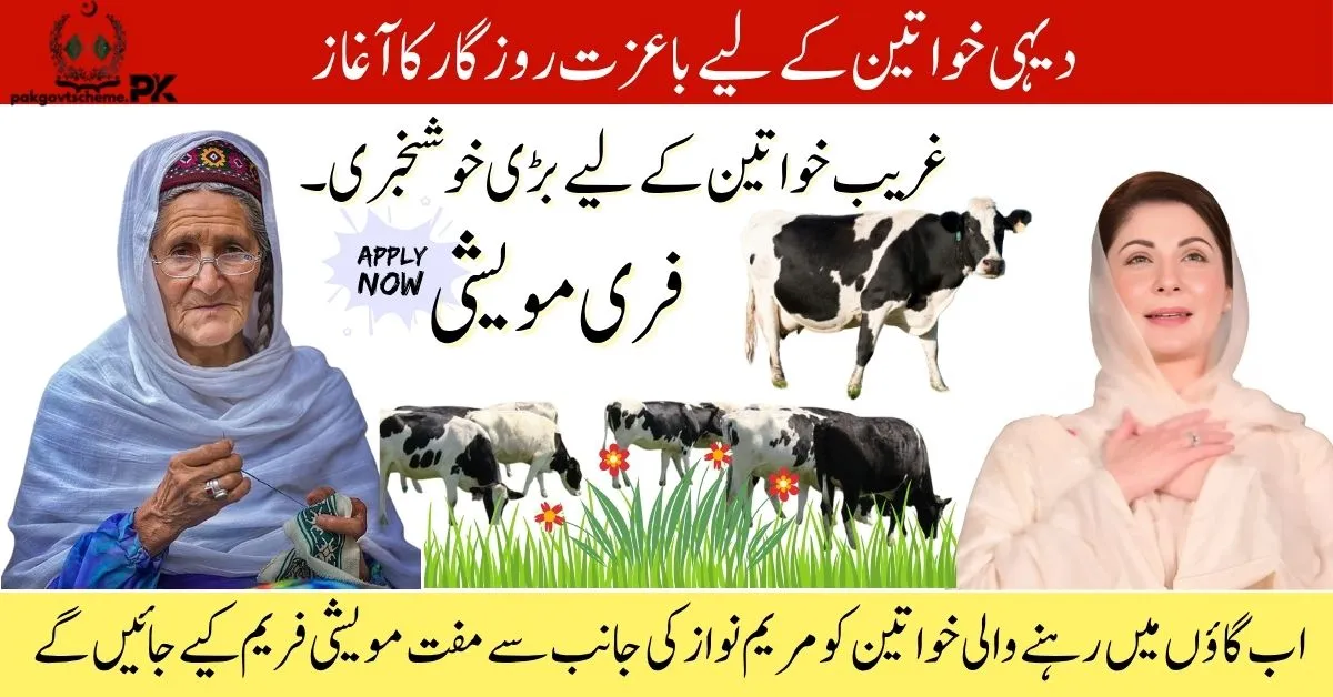 Dignified Employment Program for Rural Women – 2025 Empowerment Drive 1 Dignified employment for women, Punjab women program, rural women empowerment, livestock scheme 2025, Maryam Nawaz women initiative, economic support for widows, South Punjab employment, women income program, buffalo and cow scheme, rural development Punjab,