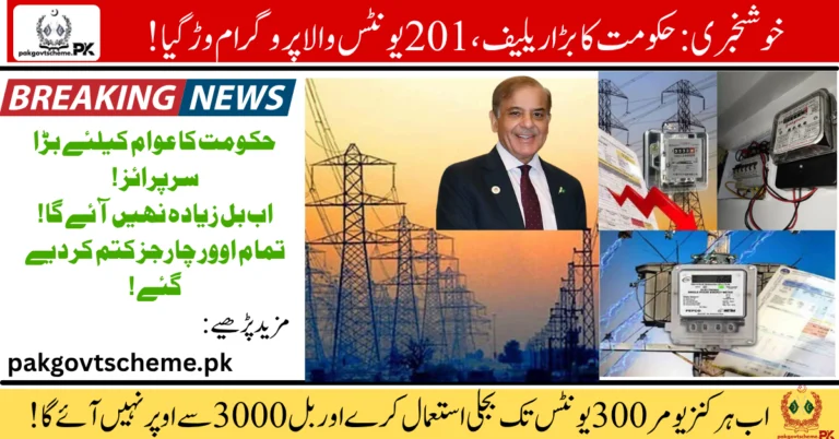 300-unit electricity relief 2025, Punjab electricity subsidy, electricity bill discount, power relief program, 2025 utility support, low income energy relief, cheap electricity plan, energy aid Punjab, household electricity discount, govt power subsidy,
