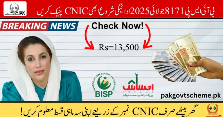 8171 CNIC Check – July 2025 Payment Update & Eligibility Status 3 July 2025 Payment, BISP 8171, CNIC Check, 8171 Web Portal, BISP 13500, Benazir Kafalat, BISP Eligibility, 8171 SMS, BISP Online, BISP July Update,