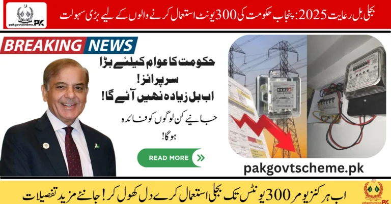 Electricity Bill Discount 2025, Punjab power relief, 300-unit electricity discount, energy bill subsidy, 2025 government aid, electric relief Punjab, affordable electricity plan, electricity assistance Punjab, power bill help, Punjab subsidy update,