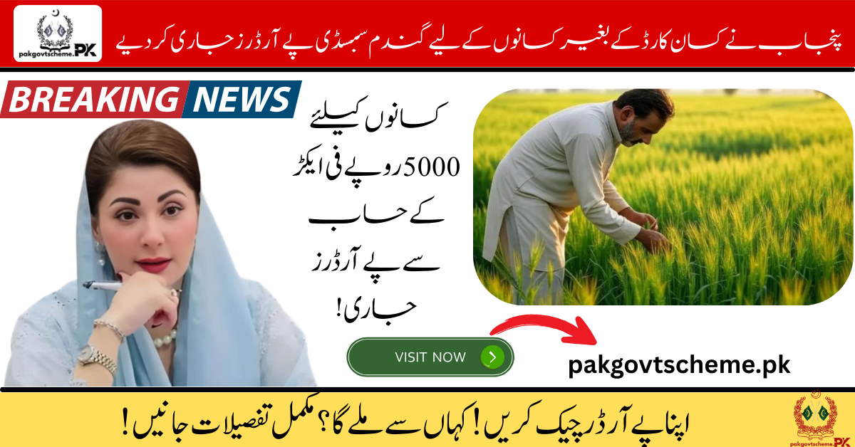 Punjab Issues Wheat Subsidy Pay Orders for Farmers Without Kisan Cards – Check Now! 1 Wheat Subsidy Pay Orders, Punjab wheat relief, Kisan Card alternative, Farmer support 2025, Agricultural subsidy Pakistan, Pay order collection, Wheat support program, Punjab agriculture scheme, July wheat subsidy, Farmers without Kisan Card,