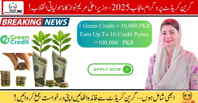 Green Credit Programme Punjab 2025, CM Maryam Nawaz Green Project, Punjab Eco-Friendly Scheme, Tree Plantation Punjab, Environment Protection Punjab, Green Loans Punjab, Punjab Sustainability Program, Maryam Nawaz Environment Plan, Climate Change Punjab, Green Development Punjab,