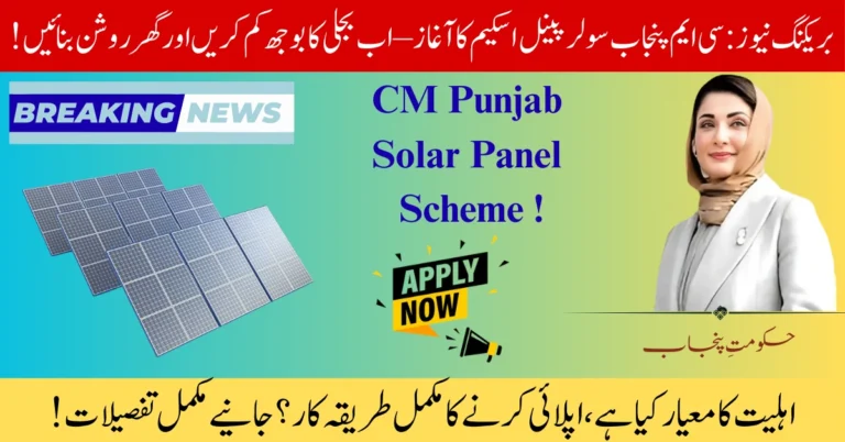CM Punjab Solar Panel Scheme