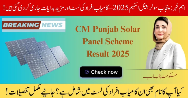 CM Punjab Solar Panel Scheme Result 2025