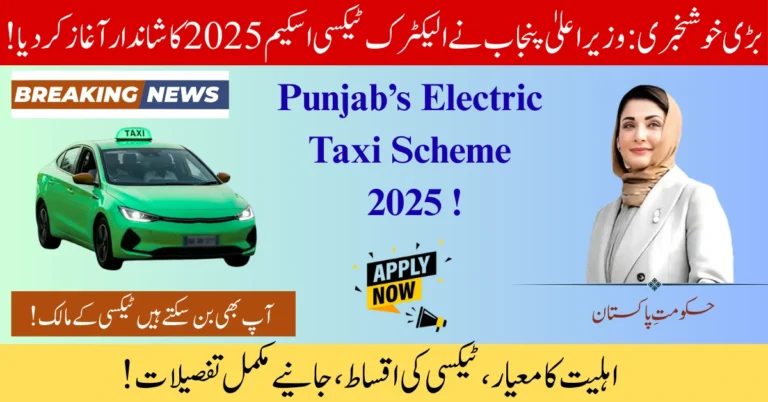 Electric Taxi Scheme 2025
