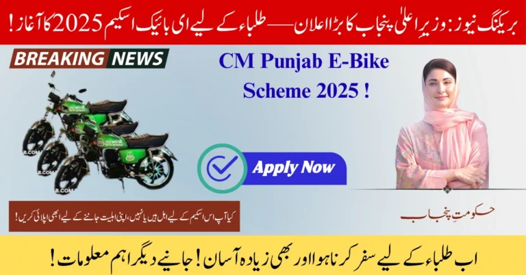 CM Punjab E-Bike Scheme 2025