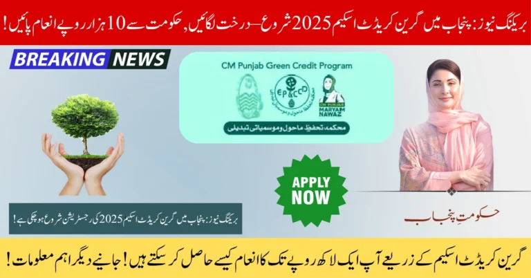 Punjab’s Green Credit Program 2025